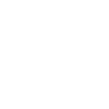 Dialer